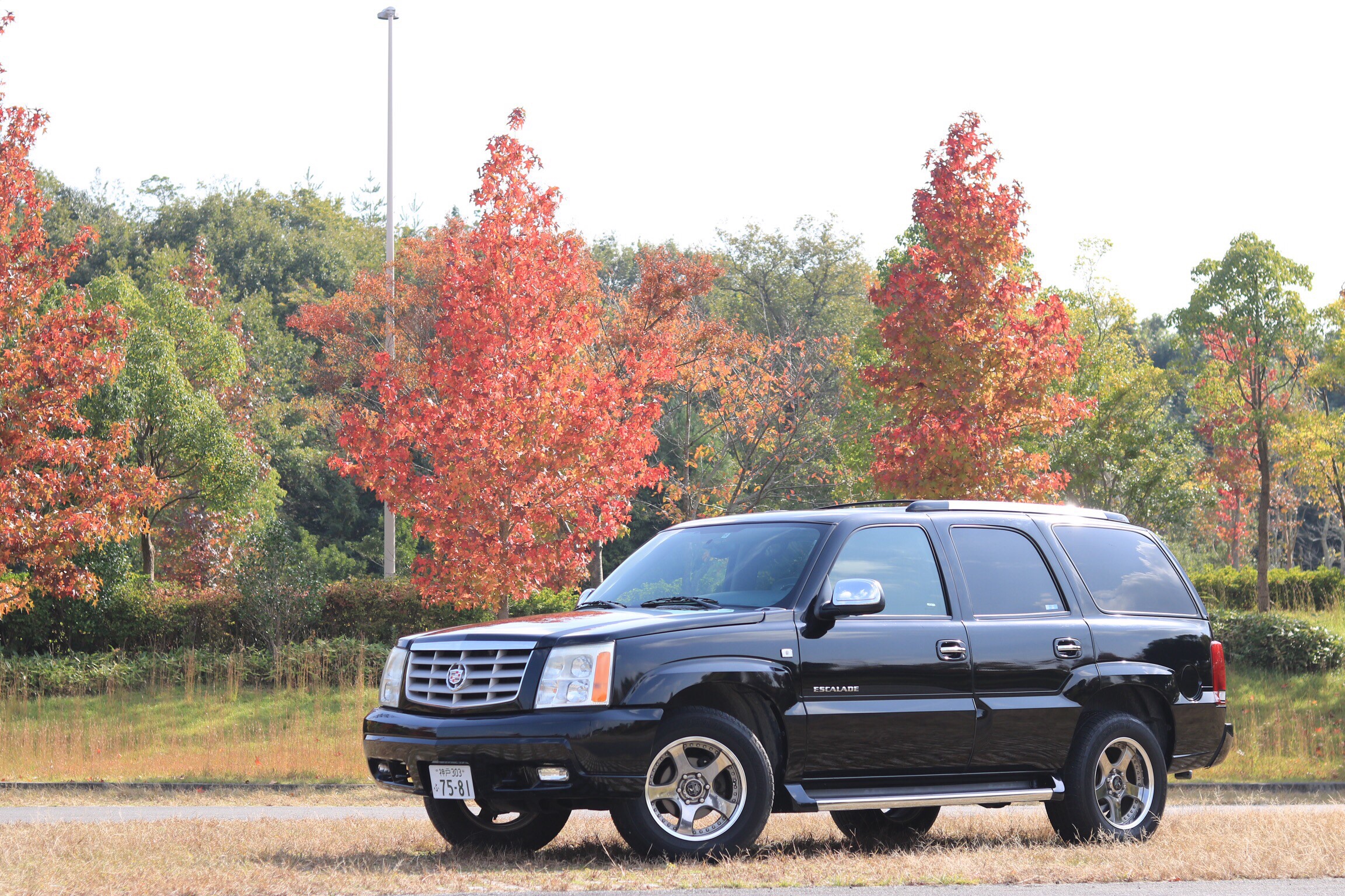 2004y cadillac escalade 入庫